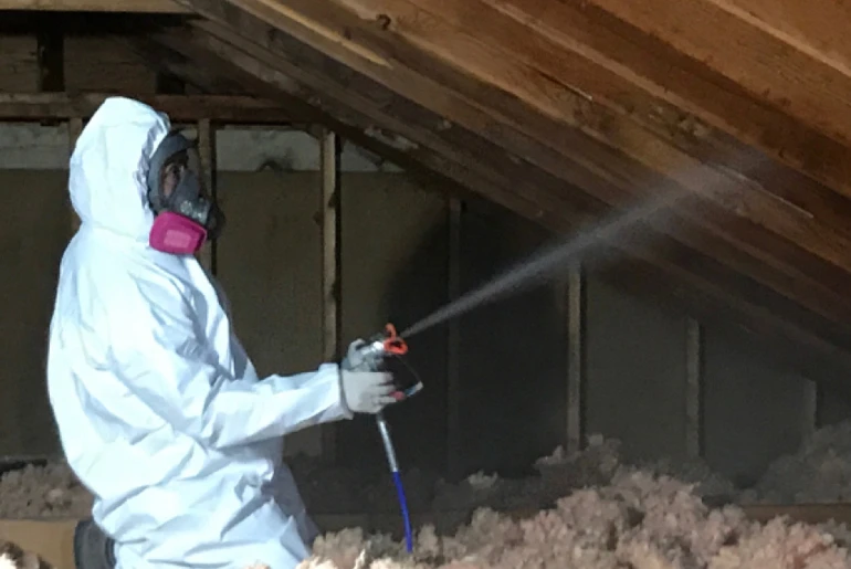 Mold Cleaning & Remediation Clean Mold Away 770 X 515