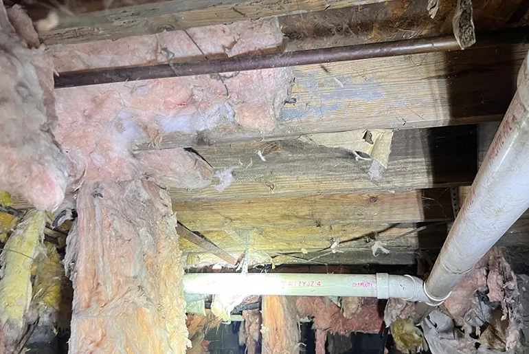 Crawlspace Decontamination & Odor Elimination Eliminate Odors Mold and Contaminants for a Healthier Home 770 X 515
