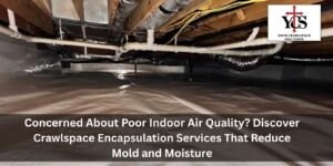 Read more about the article Concerned About Poor Indoor Air Quality? Discover Crawlspace Encapsulation Services That Reduce Mold and Moisture