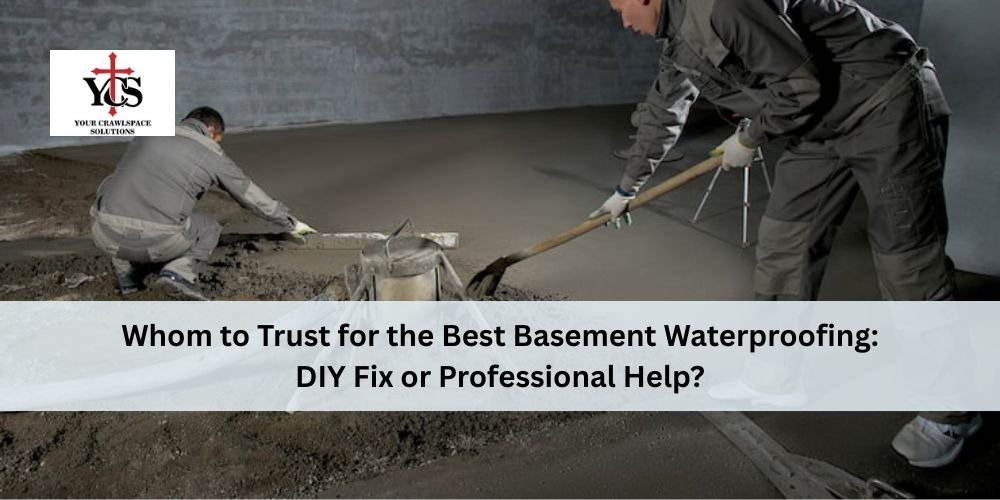 You are currently viewing Whom to Trust for the Best Basement Waterproofing: DIY Fix or Professional Help?
