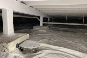 Read more about the article How Do You Access Your Crawlspace? DIY vs. Professional Inspections