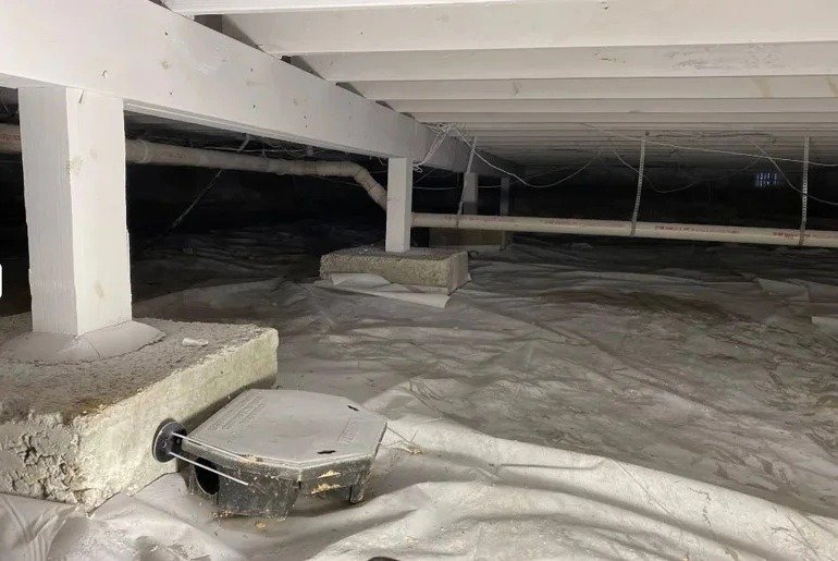 How Do You Access Your Crawlspace? DIY vs. Professional Inspections image 11