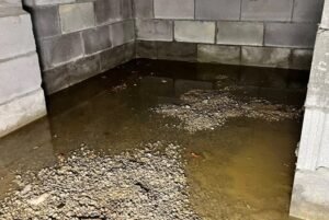 Read more about the article Whom to Trust for Mold Inspection in Louisville, KY: Independent Mold Inspector or Restoration Company Offering Inspection.