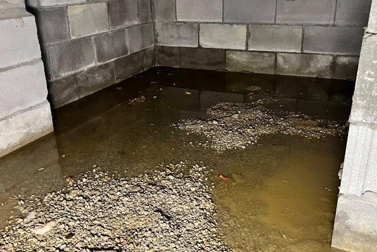 You are currently viewing Whom to Trust for Mold Inspection in Louisville, KY: Independent Mold Inspector or Restoration Company Offering Inspection.