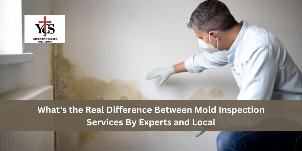 You are currently viewing What’s the Real Difference Between Mold Inspection Services By Experts and Local