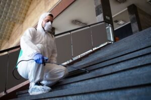 Read more about the article Mold Removal vs. Mold Remediation in Louisville, KY: What Does Your Crawl Space Need?