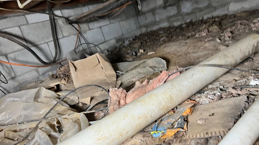 Read more about the article Crawlspace Cleanup: DIY Mess or Professional Protection—What Risks Are You Taking?
