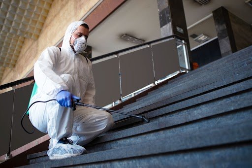 Read more about the article Mold Removal vs. Mold Remediation in Louisville, KY: What Does Your Crawl Space Need?