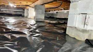 Read more about the article With vs Without Crawl Space Moisture Barrier Installation: What You are Avoiding and Why it Matters