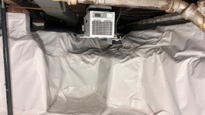 Read more about the article Portable Dehumidifiers vs. Built-In Systems: Which Crawlspace Dehumidification Services Are Worth It?